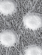 Ultra fine fiber PP spunbond Nonwonven