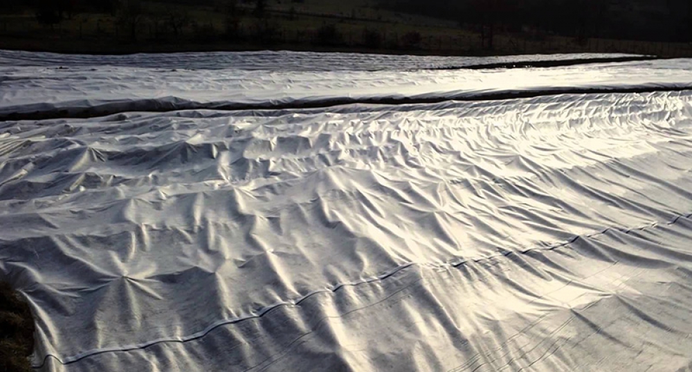 Frost Blanket/Mulch film