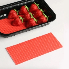 Nem Emici Çilek Pedi