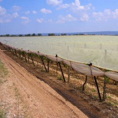 Agritül / Don Perdesi, Don örtüsü