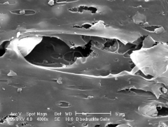 Breathable / Nefes Alabilir Film